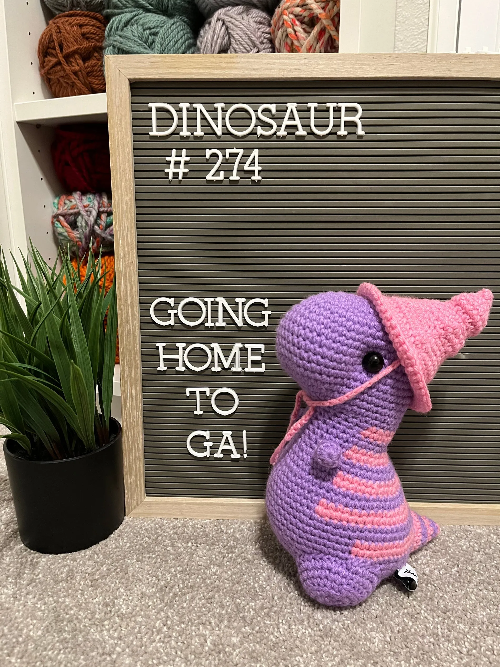 Amethyst & Pink - Chubby Dinosaur