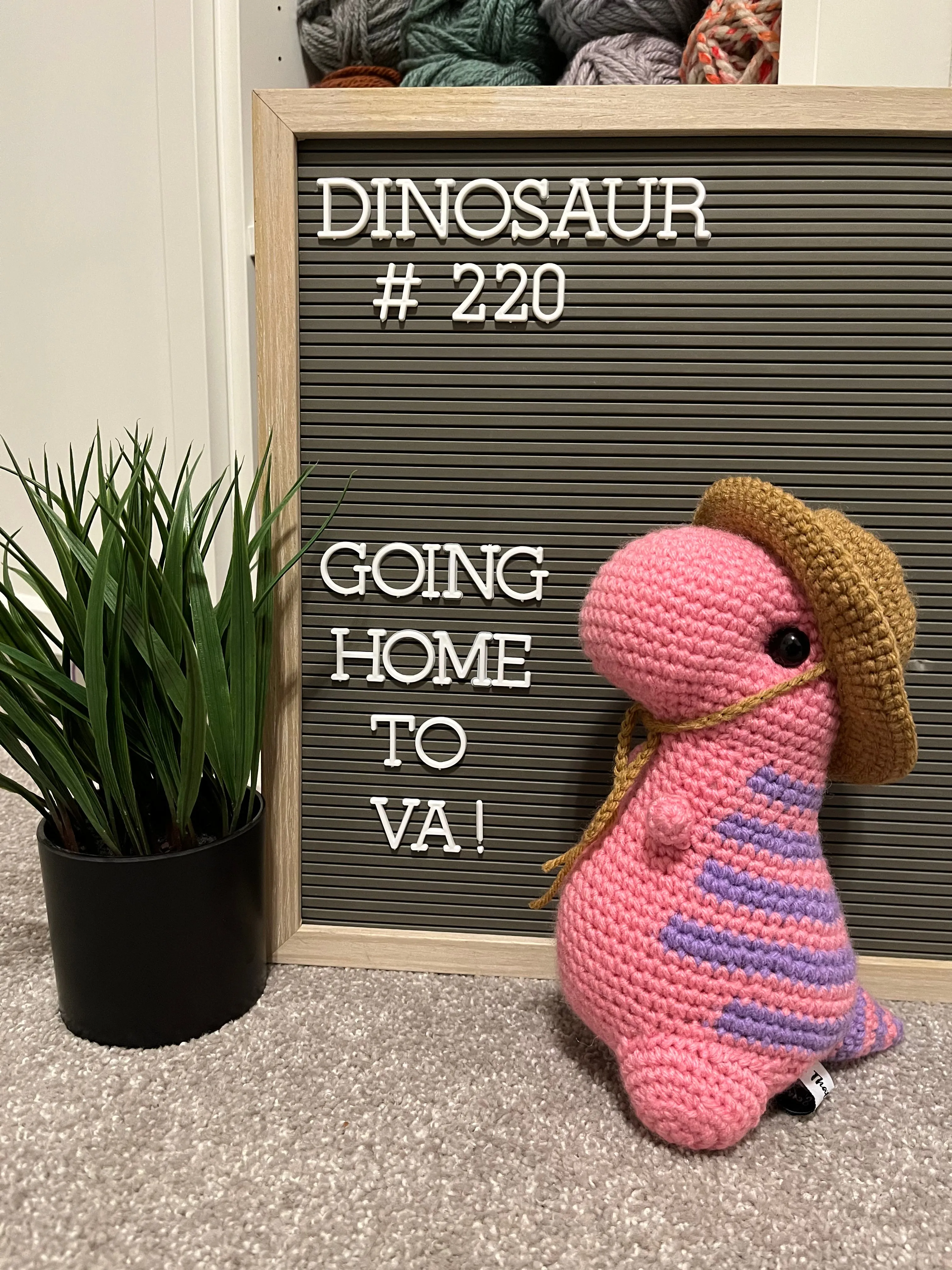 Amethyst & Pink - Chubby Dinosaur