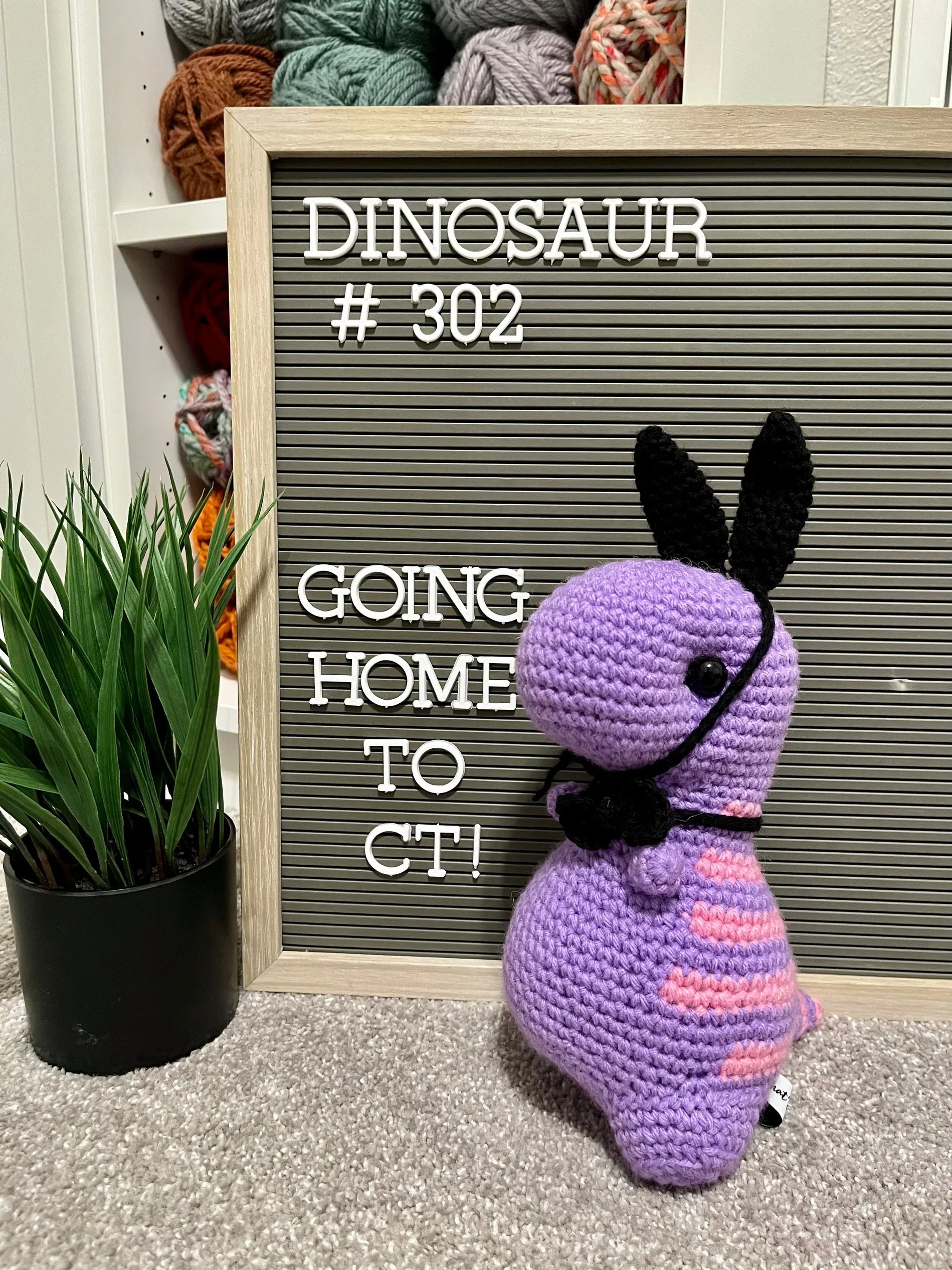 Amethyst & Pink - Chubby Dinosaur
