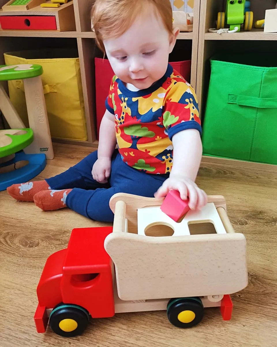 Bajo Red Tipper Shape Sorter