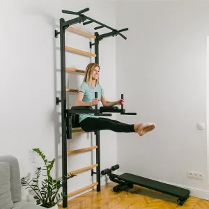 BenchK Dip Bar for Wall Bars DB1