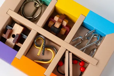 Brain Puzzles (Set of 6)