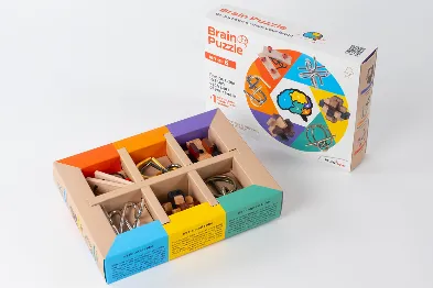 Brain Puzzles (Set of 6)