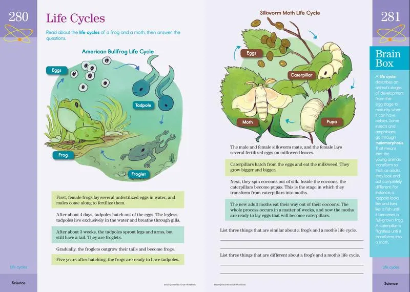 Brain Quest Workbook: 6th Grade