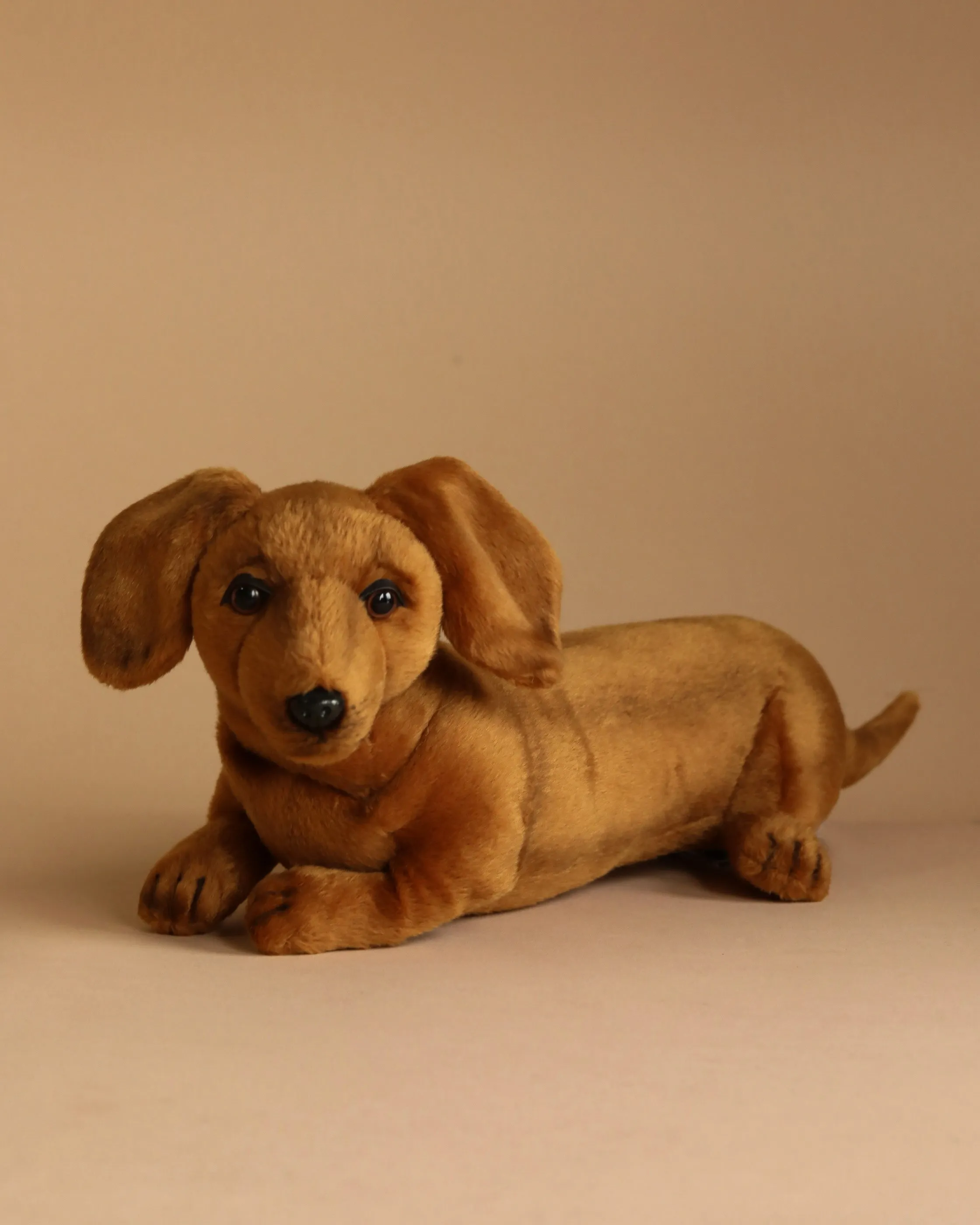 Dachshund Puppy Dog Stuffed Animal