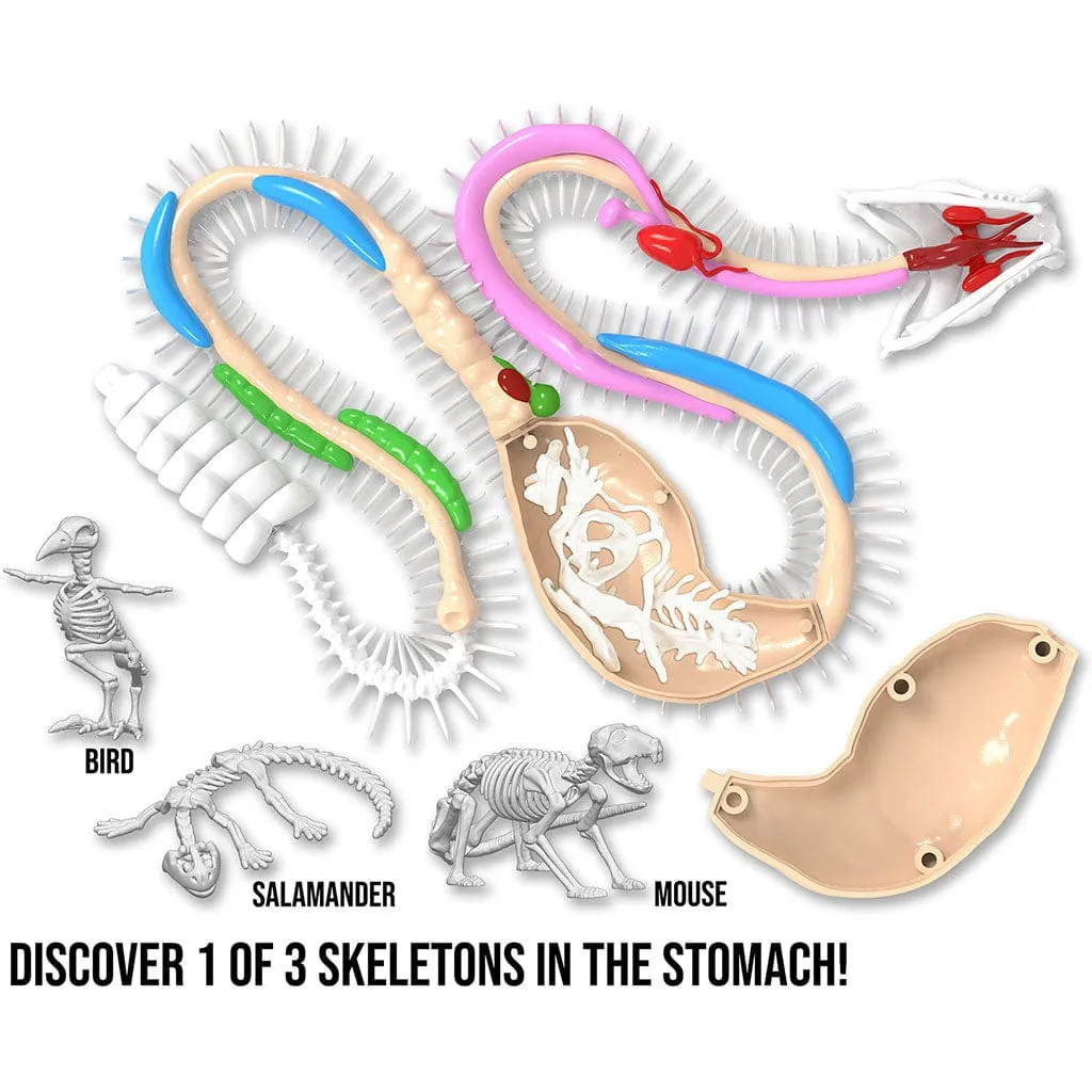 Dissect-It  Rattlesnake Super Lab Kit