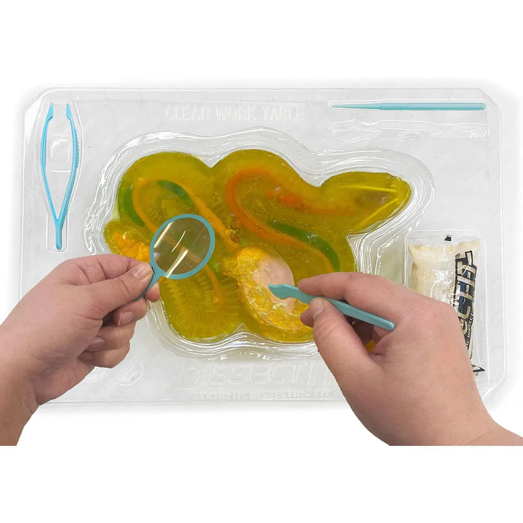Dissect-It  Rattlesnake Super Lab Kit