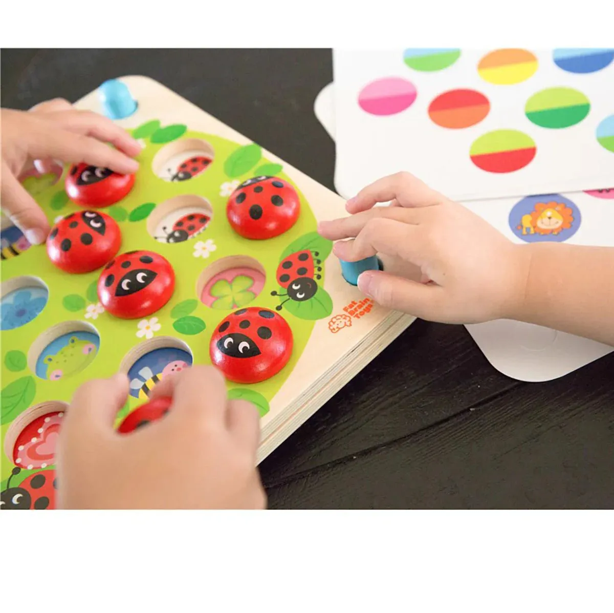 Fat Brain - Ladybug's Garden Memory Game