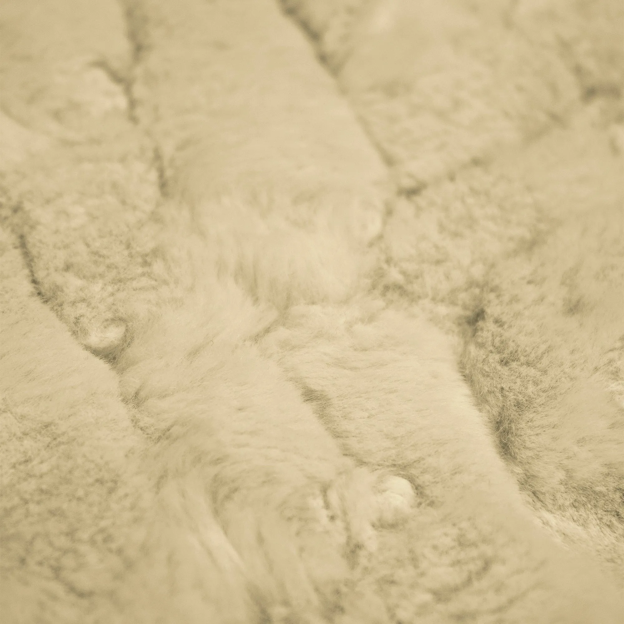 Lorenzo Snuggle - Being Discontinued