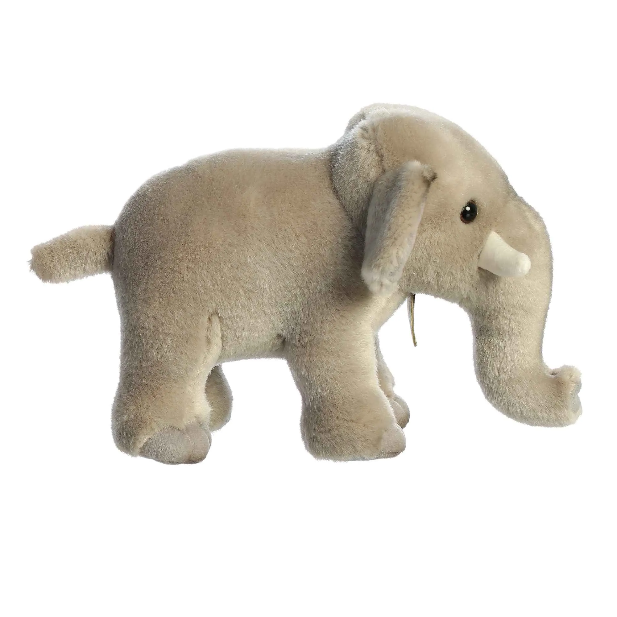 Miyoni Asian Elephant