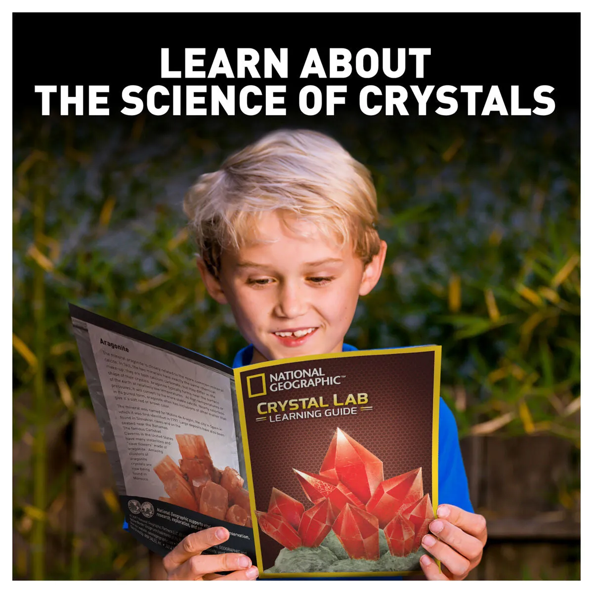 National Geographic Red Crystal Growing Lab