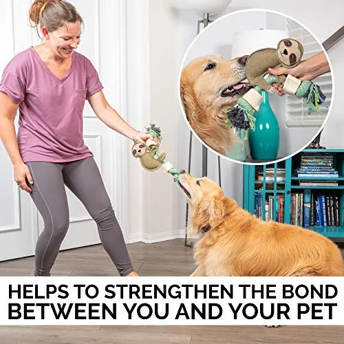 Pet Zone Choy All Natural Rope and Water Buffalo Bone Dog Chew Dog Toys (Eco-Friendly Interactive Dog Toys, Dog Chew Toy, Dog Bone, Dog Rope Toy, and Dog Tug Toy) Sloth Choy