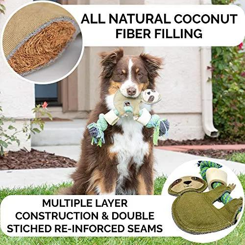 Pet Zone Choy All Natural Rope and Water Buffalo Bone Dog Chew Dog Toys (Eco-Friendly Interactive Dog Toys, Dog Chew Toy, Dog Bone, Dog Rope Toy, and Dog Tug Toy) Sloth Choy