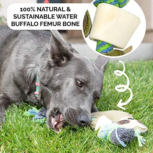 Pet Zone Choy All Natural Rope and Water Buffalo Bone Dog Chew Dog Toys (Eco-Friendly Interactive Dog Toys, Dog Chew Toy, Dog Bone, Dog Rope Toy, and Dog Tug Toy) Sloth Choy