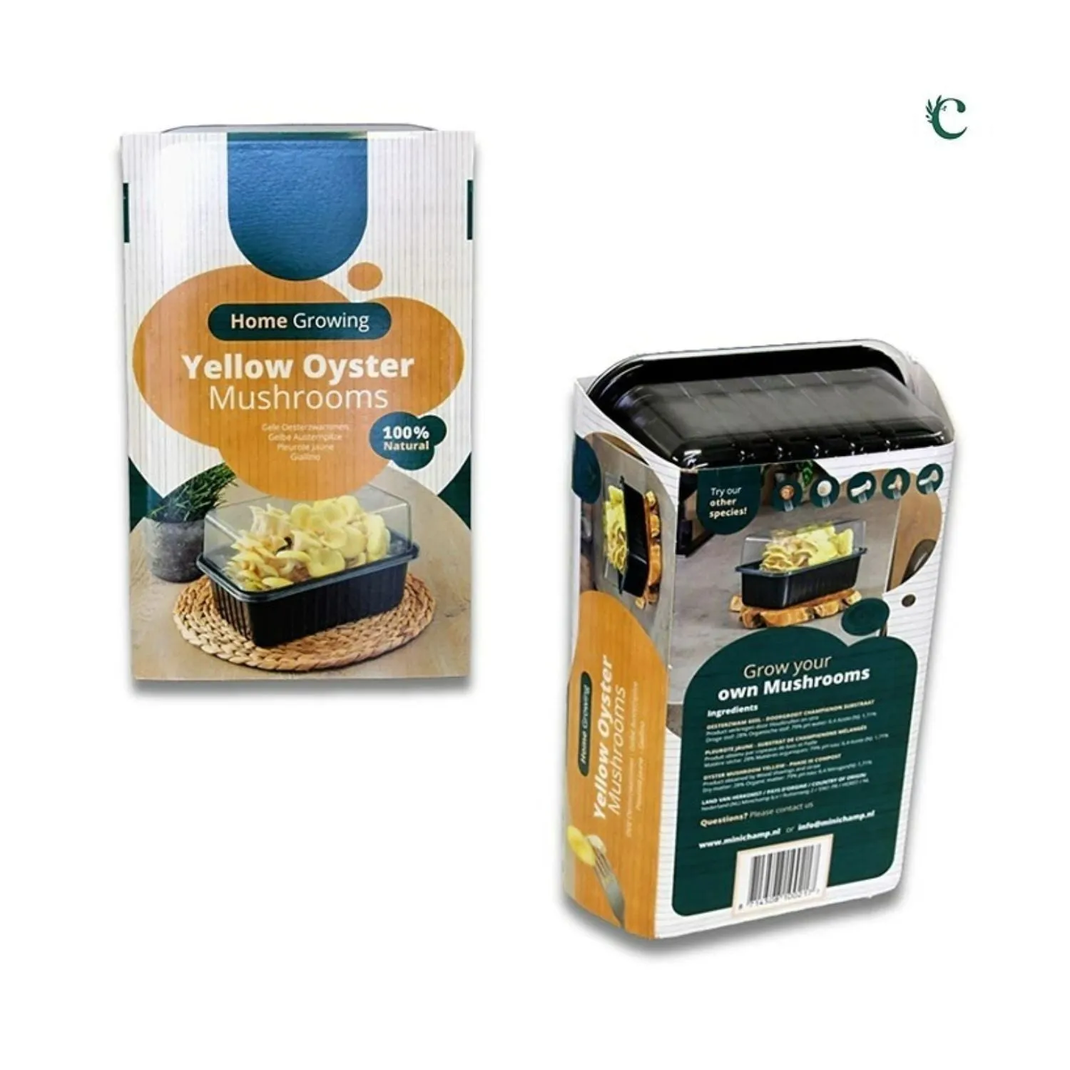 Plantline Mini Champ Home Growing Yellow Oyster Mushroom