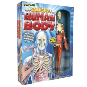 Squishy Human Body