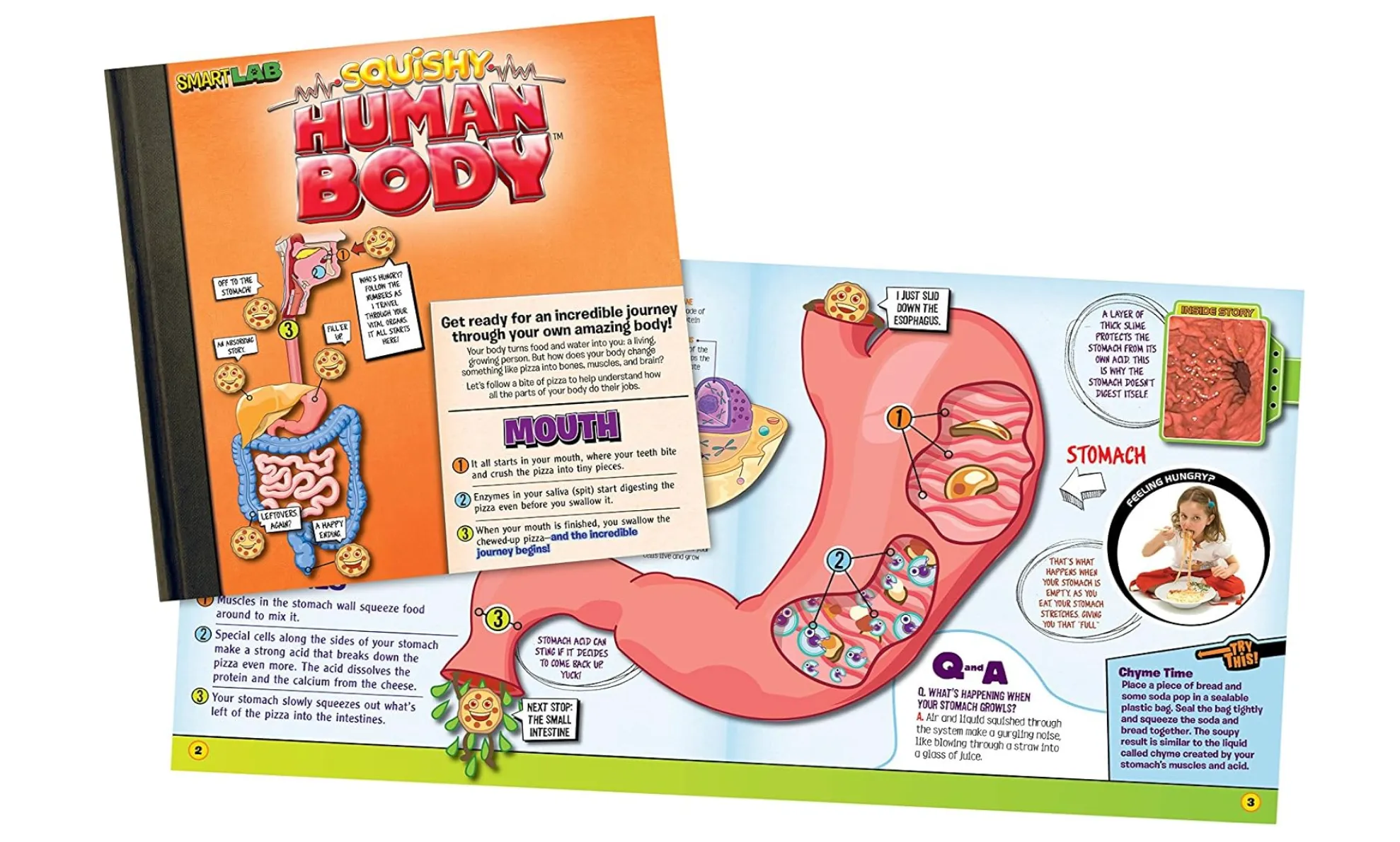 Squishy Human Body