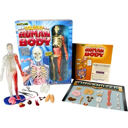 Squishy Human Body