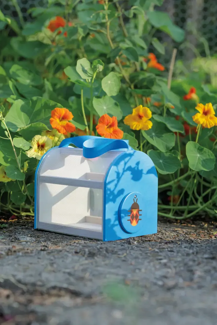 Toysmith Beetle & Bee Critter Case