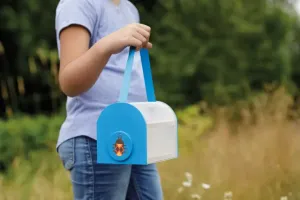 Toysmith Beetle & Bee Critter Case